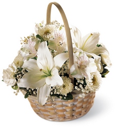 Divinity Basket from Lloyd's Florist, local florist in Louisville,KY